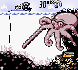 Octopus